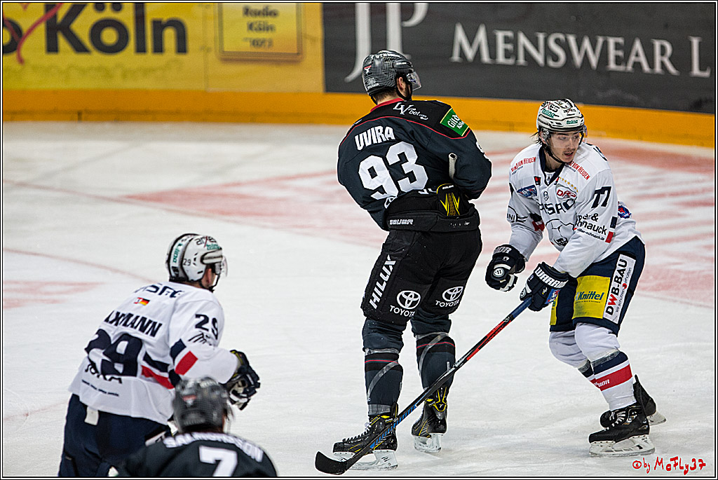 Koelner Haie - Eisbaeren Berlin, 13.11.2016